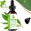 Pure Kruiden Ravensara (Ravensara Aromatica) Pure & Natural etherische olie van therapeutische kwaliteit, plastic verpakking met druppelaar.