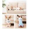 Easy Wear Pet Recovery Suit High Elastic Pet Neutering Suit Pet Weaning Clothes  Weaning Use