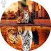 Non-Toxic Dog Children Animal Wooden Puzzles Montessori Games Children 3D Wooden Puzzle Adults Christmas Board Games For The Whole Family Diy