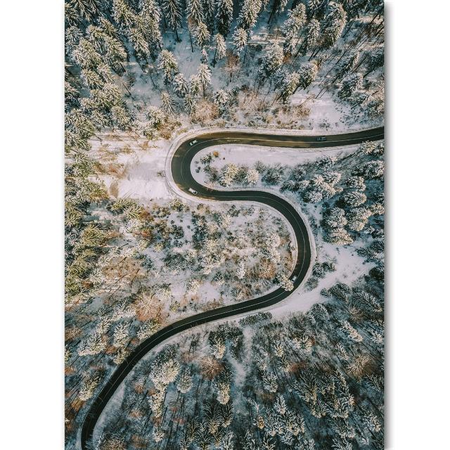 Vertical Board Beautiful Forest Scenery Modern Photo Painting Highway Winding Lines Wall Stickers HD Printing Art Decoration