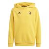 Childrens/Kids Juventus Hoodie