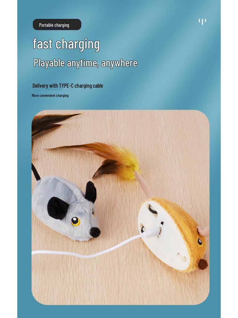 Interaktives elektrisches Maus-Teaser: Intelligentes ferngesteuertes berührungsempfindliches Katzenspielzeug