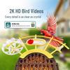 Smart Bird Feeder with Camera & ID: Automatic Feeding System
