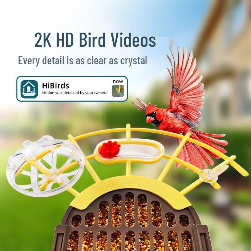 Smart Bird Feeder with Camera & ID: Automatic Feeding System