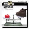 Soft-soled bread shoes autumn and winter new lightweight and versatile casual sports shoes non-slip velvet high-top cotton shoes