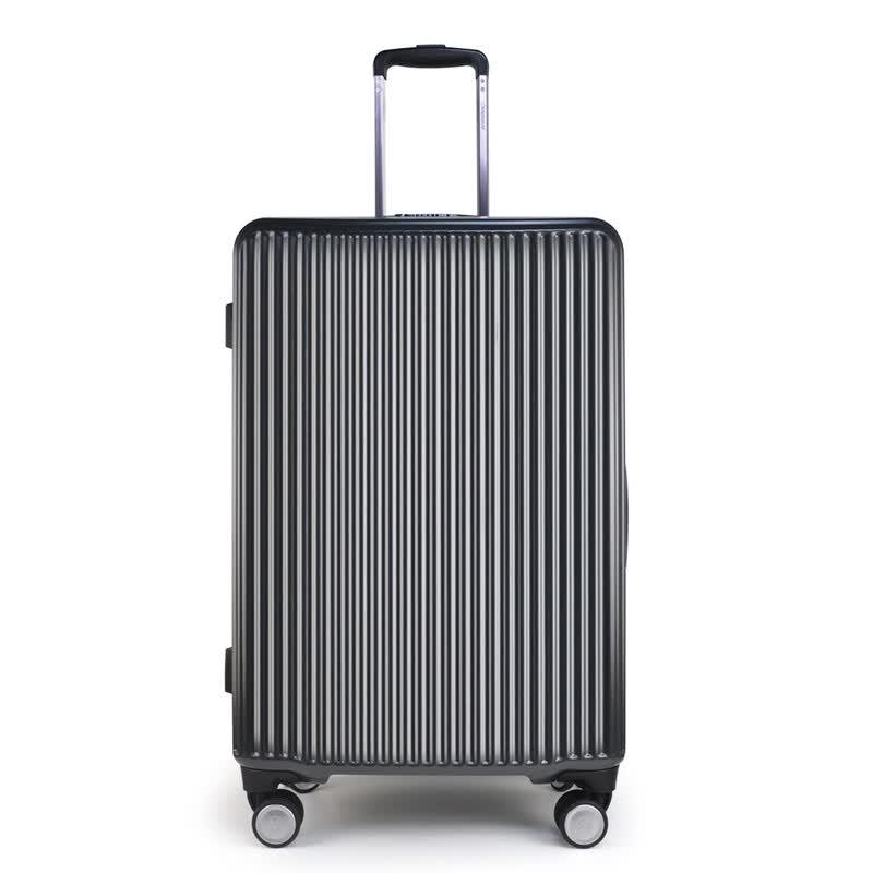 Diplomat DS-13109 24-inch Spinner Luggage