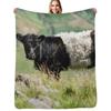 Belted Galloway Kuh Überwurfdecke Ganzjahres Leichte Weiche Decke für das Bett