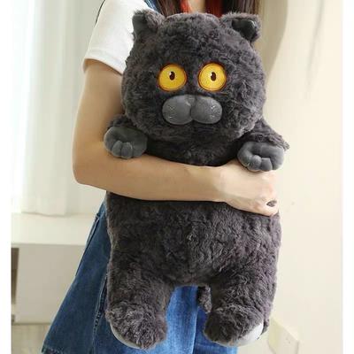 Non-Toxic New Arrive 40Cm Japanese Kawaii Soft Plush Cat Toys Stuffed Animal Dolls Gift Lovely Fat Cats Pillow Home Decoration