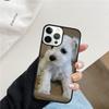 Miniature Schnauzer Puppy Dog Mobile Phone Cases Cover For iPhone 17 Air 16 15 14 12 13 11 Pro MAX apple Plus SE2020 Coque