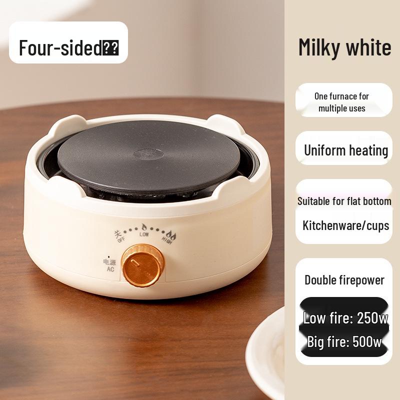 Multifunctional Mini Electric Teapot and Tea Brewer