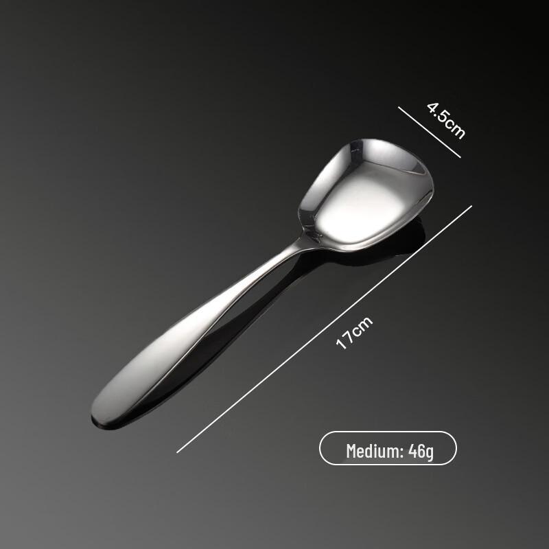Qianxing 304 Stainless Steel Korean Flat Rice Spoon