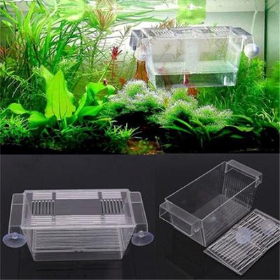 Aquarium Guppy Doppelzucht Züchter Aufzucht Trap Box Brüterei