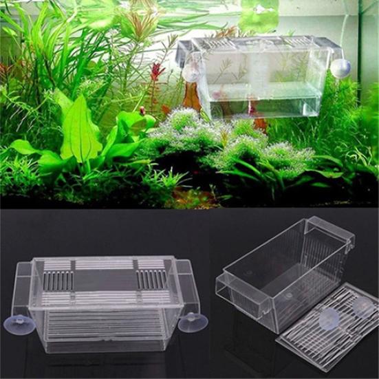 Aquarium Fish Tank Guppy Double Breeding Breeder Rearing Trap Box Hatchery
