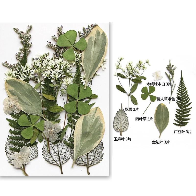 21PCS Set Dried Pressed Plants Leavse for Jewelry Resin Making Natural Green Leaves Flowers Material for DIY Supplies