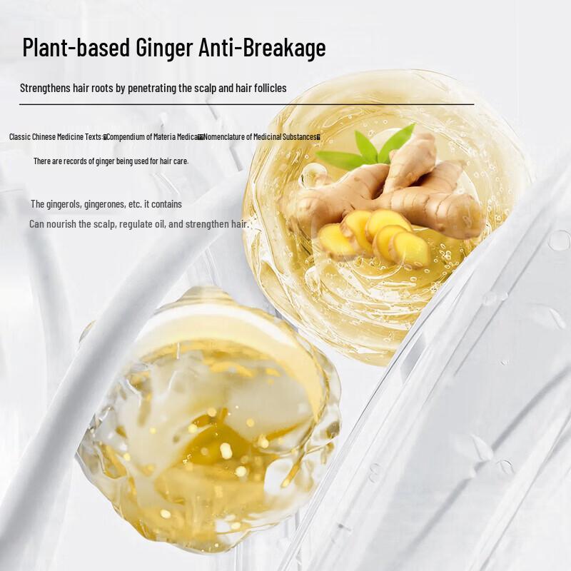 Dandong Peptide Ginger Oil-Control Shampoo