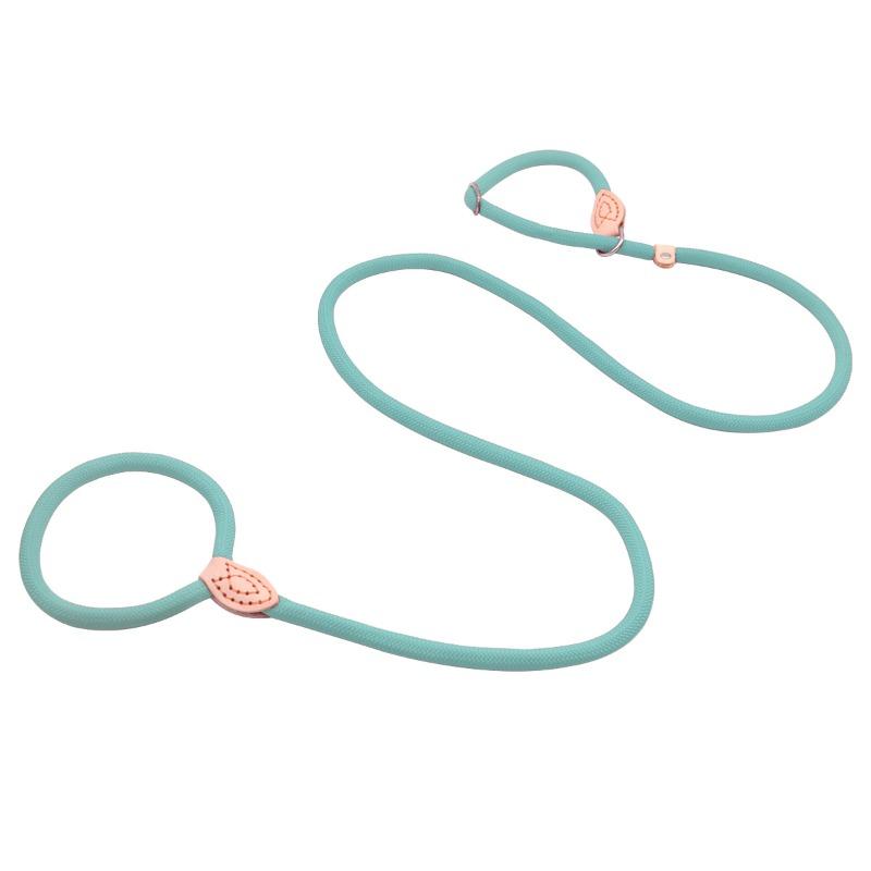 Поводок для питомца, Нейлоновый поводок для собаки против побега, P-поводок, Без сжатия руки, Поводок для питомца, Взрывозащищенный для крупной собаки, Поводок для выгула собаки 150*0.6cm циан