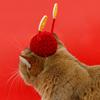 Adjustable Pet New Year Hat Chinese Style Pet Knitted Hat Cute Pet God of Wealth Hat  Christma Day