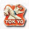 Japan Refrigerator Magnets Tokyo Travel Souvenirs Mount Fuji Hokkaido Sapporo Fridge Stickers Birthday Gifts