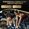Reine Himalaya Shilajit Kapseln, Premium Mineralstoffergänzung mit Fulvinsäure & Spurenelementen, Energie, Ausdauer & Gehirnunterstützung