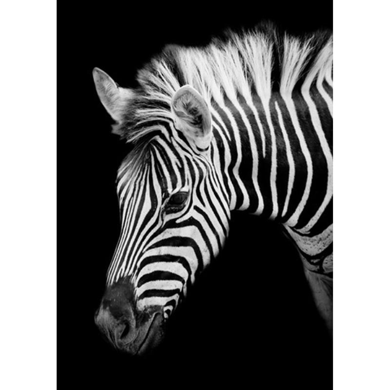 5D DIY Diamond Painting Zebra Animals Full Round Diamond Embroidery Sale Pictures of Rhinestones Cross Stitch Home Decor