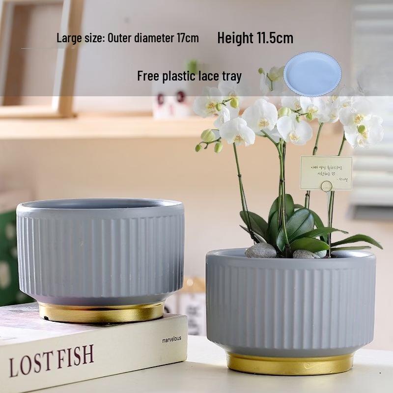 Lilang Succulent Planter Pot Set