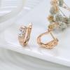 Luxury Square Natural Zircon Earrings Ring For Women Fashion  Rose Gold Earring Ring Wedding Statement Jewelry