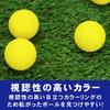 Training Golf Balls, Indoor Specification, Impact Practice, 12 Ball Set,