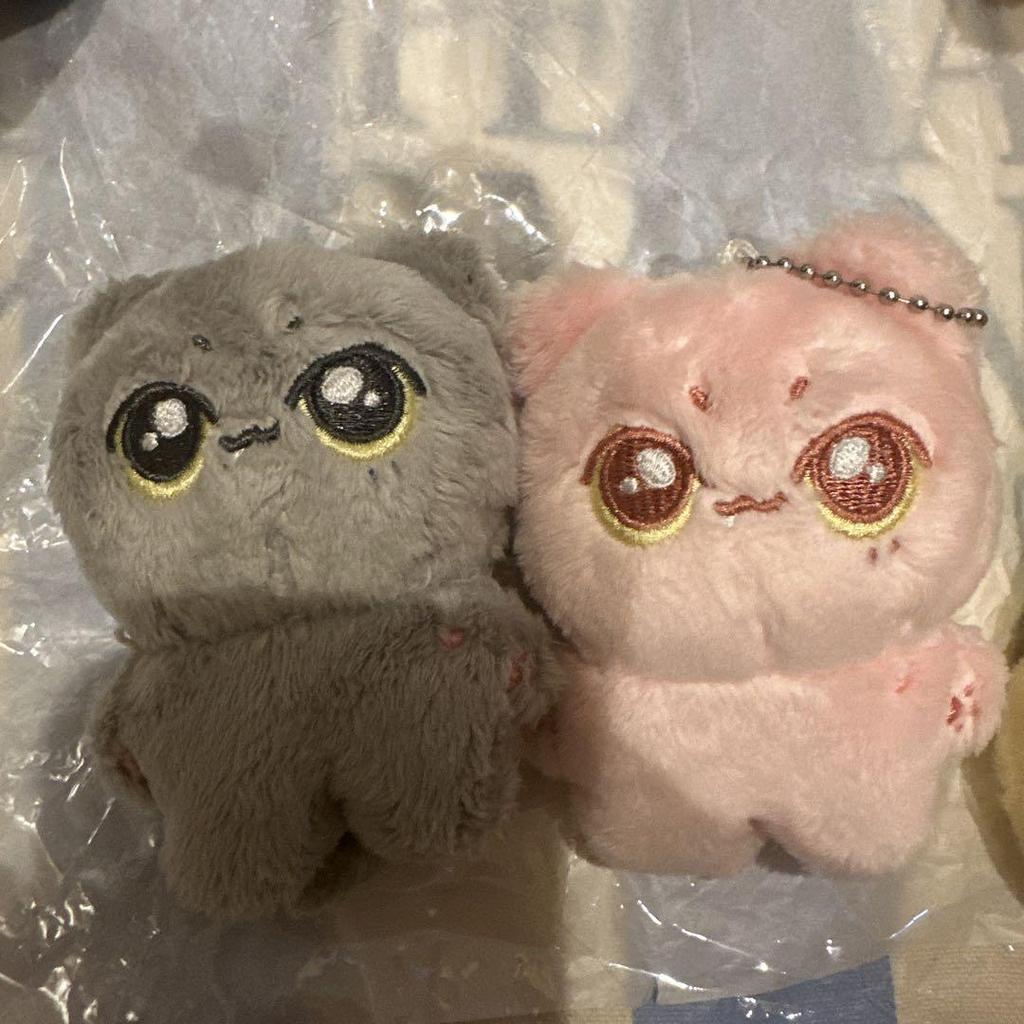 [USED] Enhypen Jay 10cm Plush Toy Master