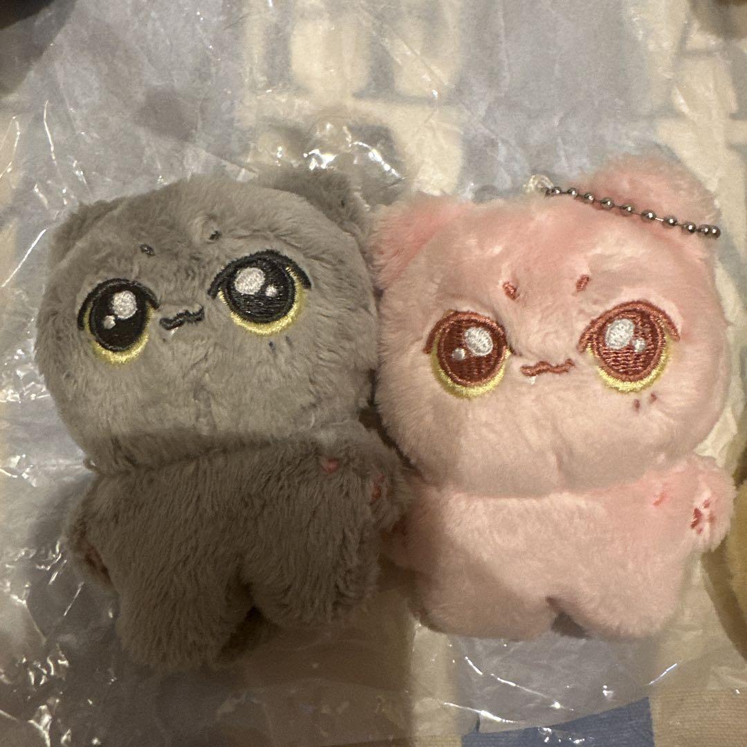 

[USED] Enhypen Jay 10cm Plush Toy Master