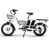 Bicicleta eléctrica PHILODO Traveller, motor de 750W, batería de 48V 35Ah, velocidad máxima 45 km/h, autonomía de 120 km, neumáticos de 20x3.0 pulgadas