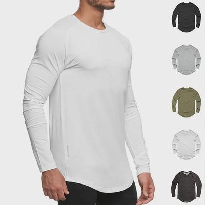 Men's Quick-Dry Mesh Raglan Long-Sleeve T-Shirt - Versatile for Spring & Autumn Fashion