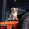Australian Shepherd Pet Dog Animal Cartoon Car Sticker Waterproof Styling Automobiles Motorcycle Exterior Accessories Vinyl Decals TM340