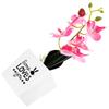 Decorațiuni pentru casă – Flori decorative şi coroane de flori