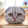 Scottish Fold Cat Plush Pillow Stuffed Soft Cartoon Animal Seat Cushion Back Support Plushie Sofa Chair Indoor Decor Gift