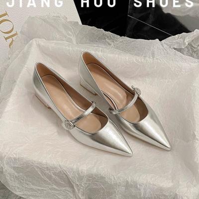Chaussures pour femmes à bout pointu 2024 Printemps Nouvelles Chaussures Mary Jane Argentées Confortables à Talon Bas Chaussures de Ville Simples et Polyvalentes Escarpins pour Femmes