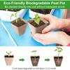 Degradable Paper Pulp Seedling Nursery Pots Eco Friendly Germination Planter Cups For Garden Flowers Herbs Orchard Plant Cultivation