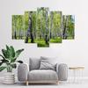 Five Piece Picture Canvas Print Birchwood Forest