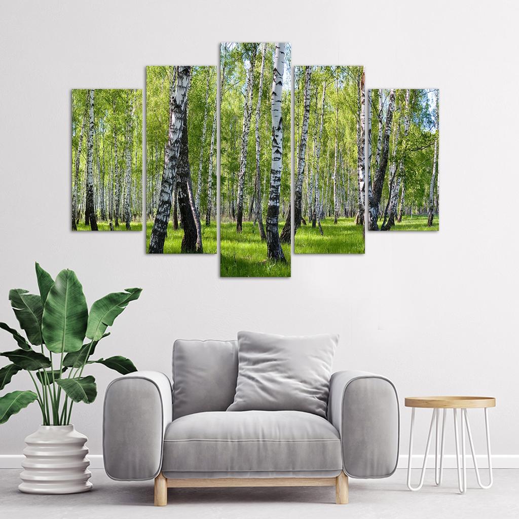 Five Piece Picture Canvas Print Birchwood Forest