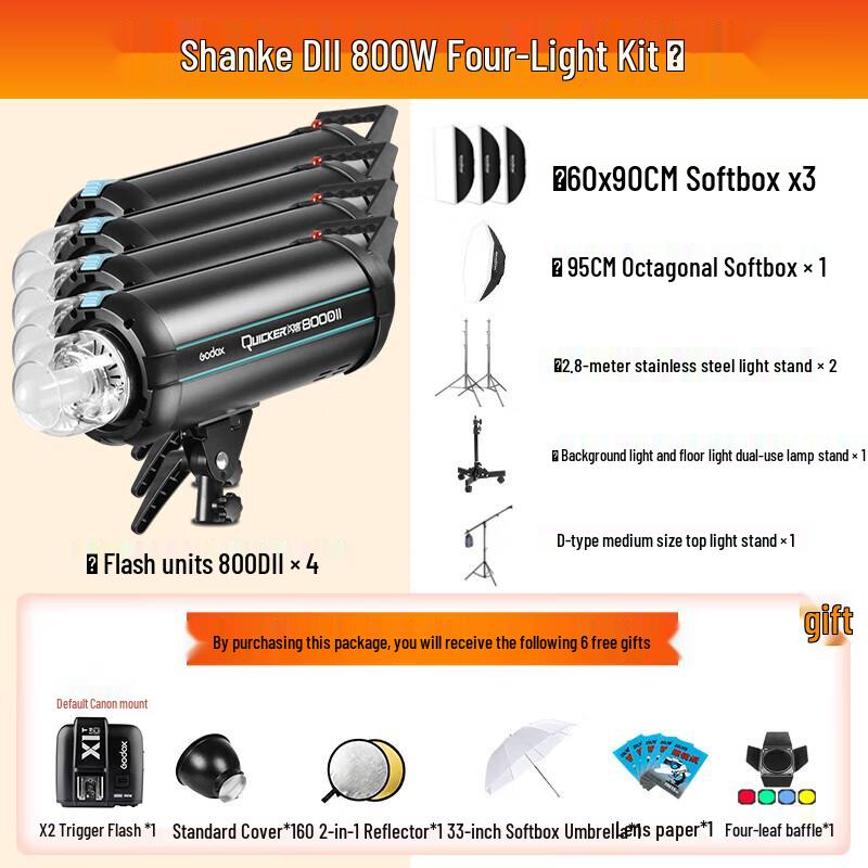 Godox DII Series Studio Flash Light Kit