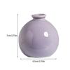 Exquisite Craft - Solid Ceramic Vase For Home Décor Office And Gifts Wide Application Vibrant Color Ple Fluent Line