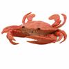 Simulation Écrevisse Crabe Jouet Enfant