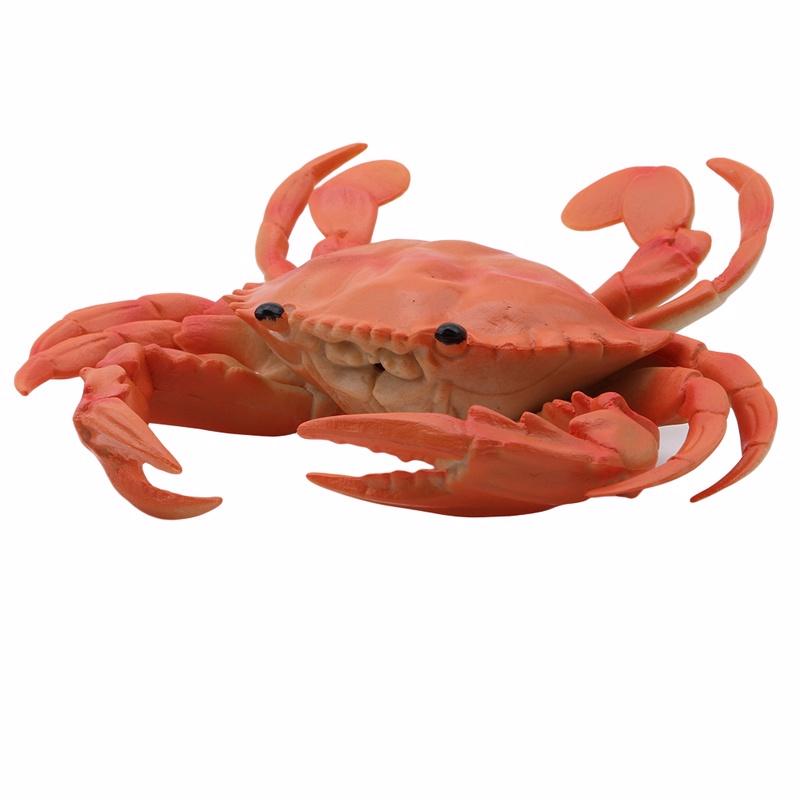 Simulation Écrevisse Crabe Jouet Enfant