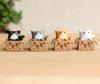 Cute Boxed Kitten Accessory, Cute Cat Figurine, Miniature Boxed Figurine, Houseplant Ornament (1 Black)