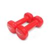 Basic Beauty Dumbbell 1KG Set (2 Pieces)