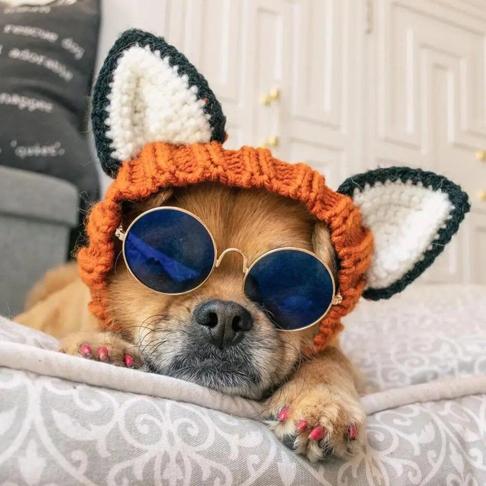 

NEW Pet Dog Warm Windproof Knitted Hat Animal Series Dress Up Pet Headgear Head Accessories Photo Props Pet Supplies