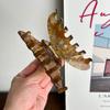 Trendy Large Acetate Hair Claw Clip With Beautiful Shell And Embellishments Pearl