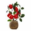 Multicolor Artificial Fruits Bonsai Pomegranate Lemon Orange Grey Flowerpot Fruit Tree Potted Green Leaves Waterproof