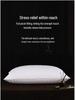 White Goose Feather Pillow Core 45x45cm: Hotel Sofa Cushion for Lumbar Support