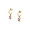 Ladies' Earrings SAXN16