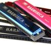 Tremolo Harmonica 24 Hole Harmonica Double Row Blues Harmonica C-key Harmonica  Student